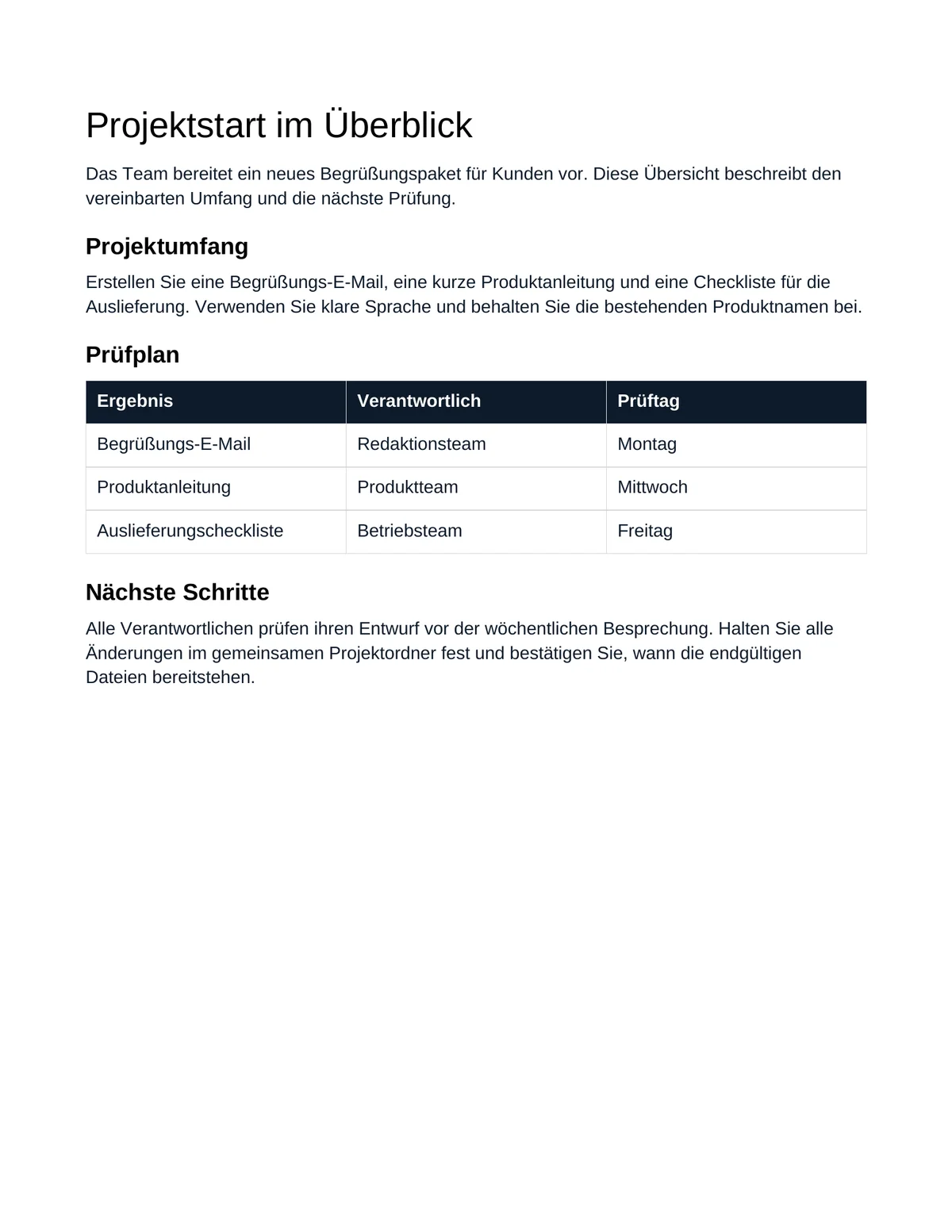 Project brief, prepared German translation